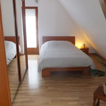 Superbe Appartement En Residence Betschdorf Kültér fotó