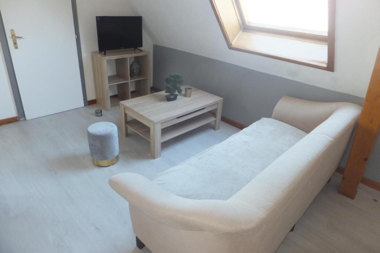 Superbe Appartement En Residence Betschdorf Kültér fotó
